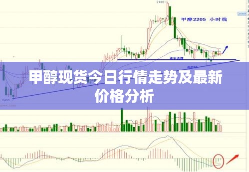 甲醇現(xiàn)貨今日行情走勢及最新價格分析