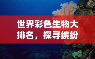 世界彩色生物大排名，探尋繽紛生命之美