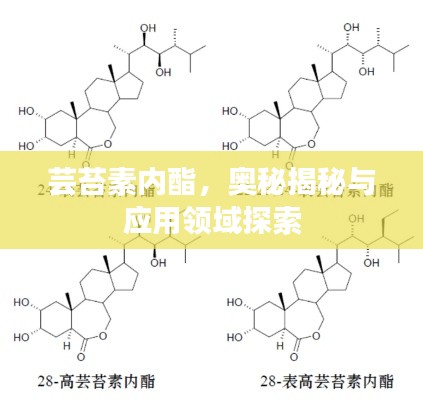 蕓苔素內(nèi)酯，奧秘揭秘與應(yīng)用領(lǐng)域探索