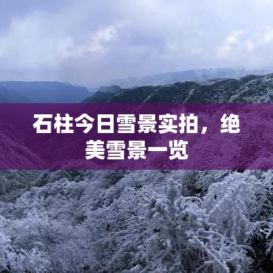 石柱今日雪景實(shí)拍，絕美雪景一覽