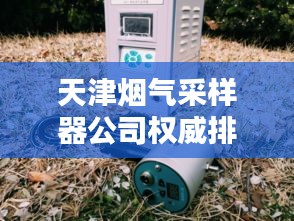 天津煙氣采樣器公司權威排行榜揭曉！