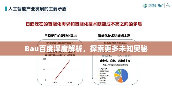 Bau百度深度解析，探索更多未知奧秘