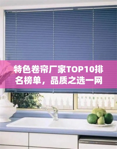 特色卷簾廠家TOP10排名榜單，品質(zhì)之選一網(wǎng)打盡