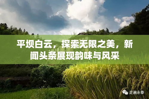 平壩白云，探索無限之美，新聞頭條展現(xiàn)韻味與風采